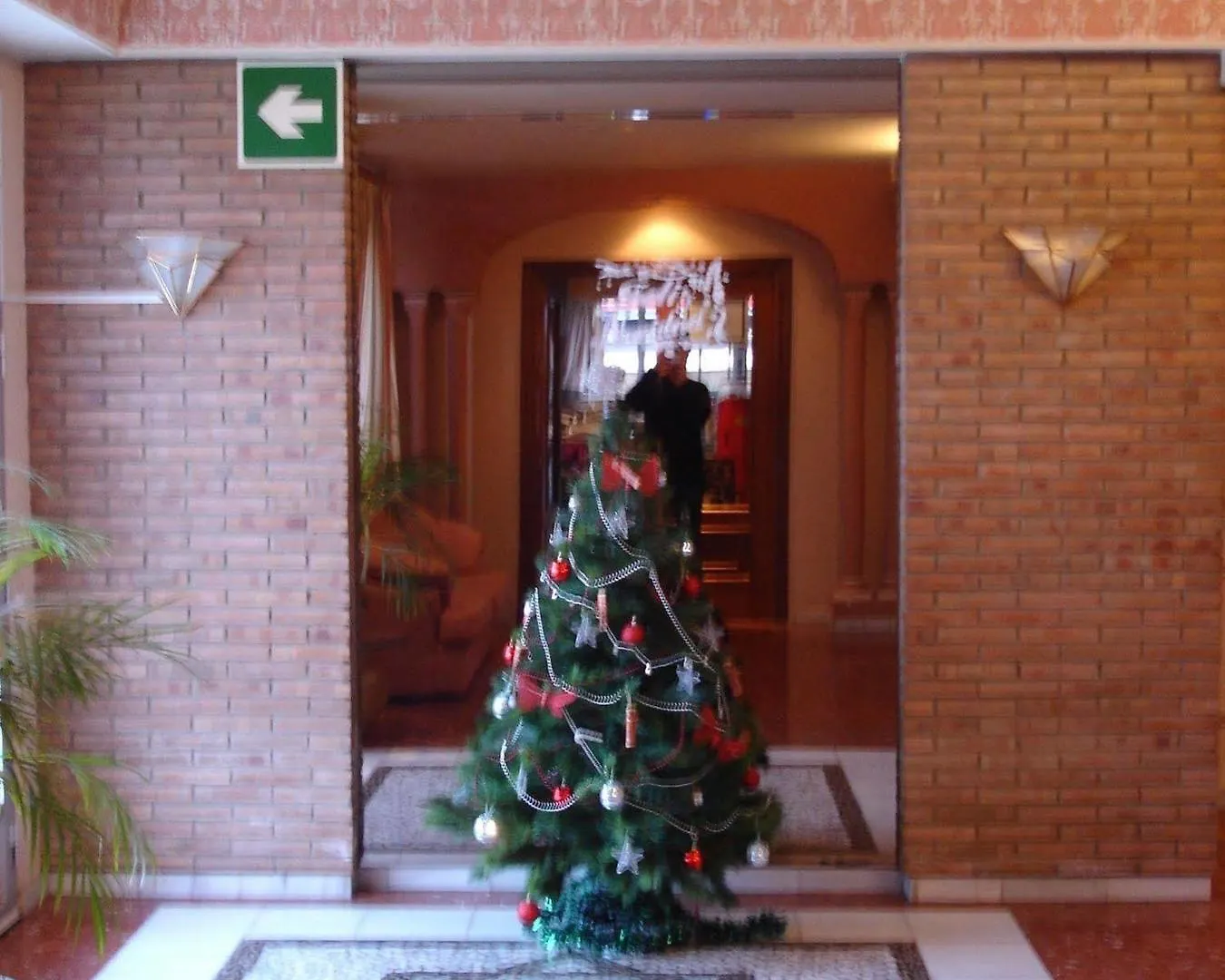 Hotel Vista Nevada Darro